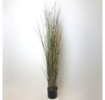 Grass Plant Bamboo 120cm