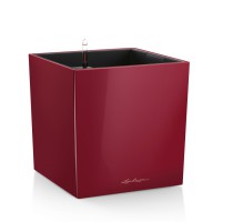 Lechuza Cube Premium 40 Scarlet komplet