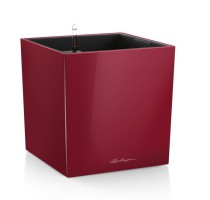 Lechuza Cube Premium 50 Scarlet komplet